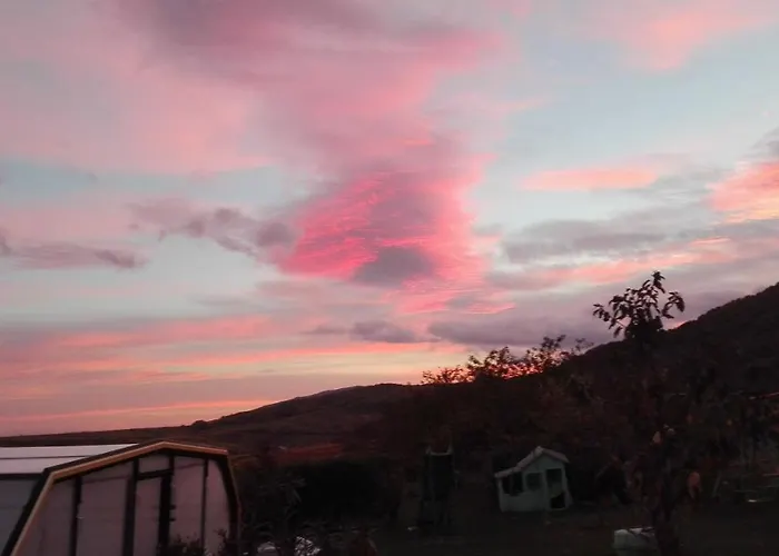 D'hotes De La Tulipe ミッテルベルカイム