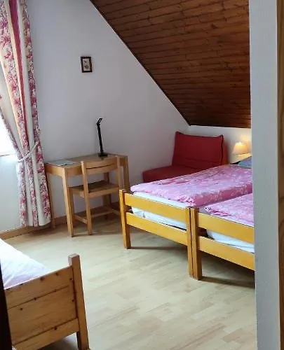 D'hotes De La Tulipe ベッド・アンド・ブレックファスト ミッテルベルカイム