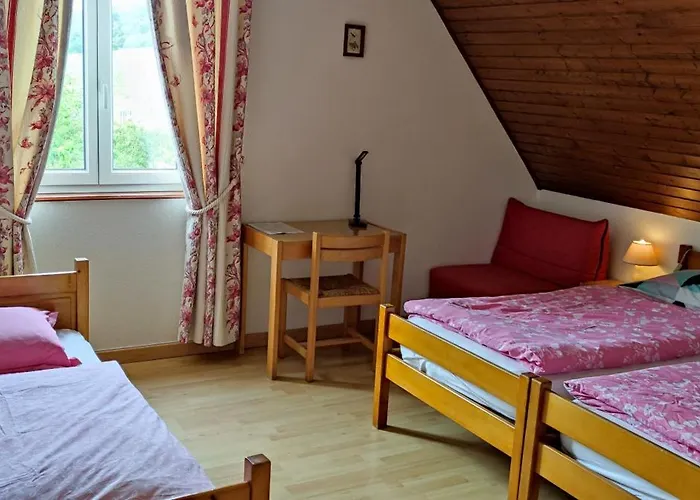 D'hotes De La Tulipe *