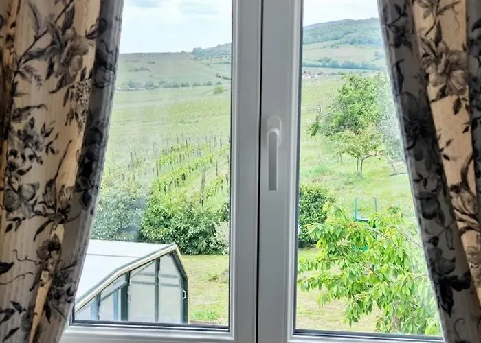 D'hotes De La Tulipe * ミッテルベルカイム